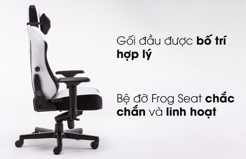 Bệ đỡ Frog Seat chắc chắn, gối được bố trí phù hợp | E-Dra Hunter EGC206
