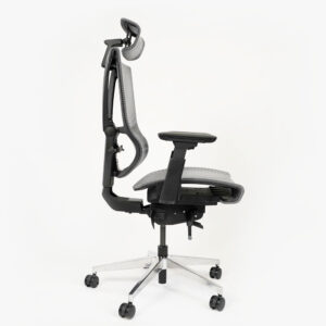 ghe-cong-thai-hoc-epione-ergochair-pro-dark-gray-3
