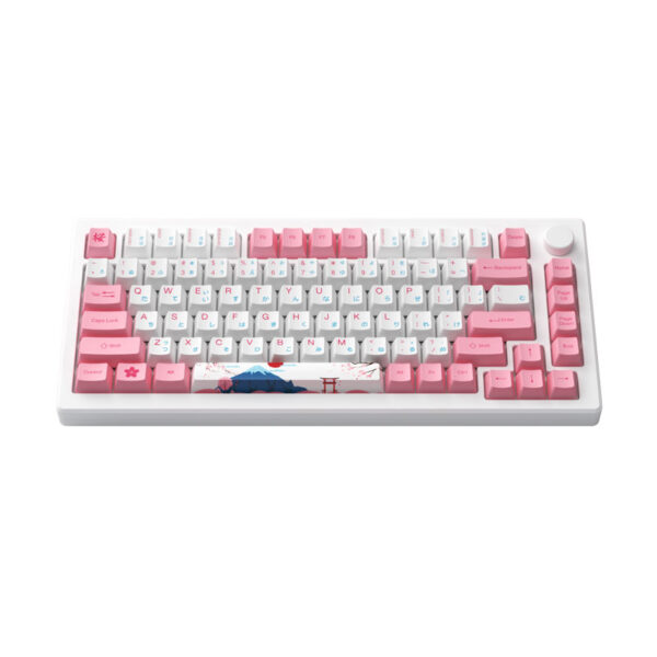 ban-phim-akko-mod007b-he-pc-tokyo-sakura-pink-1